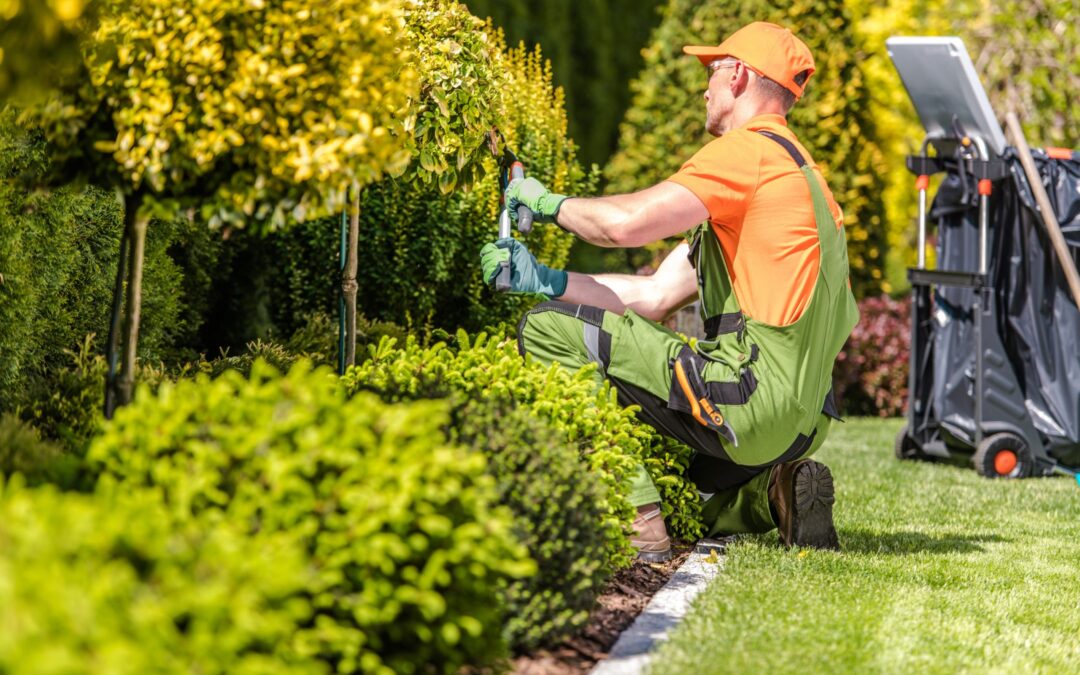How Can Landscapers Help With Your Outdoor Renovation Project?