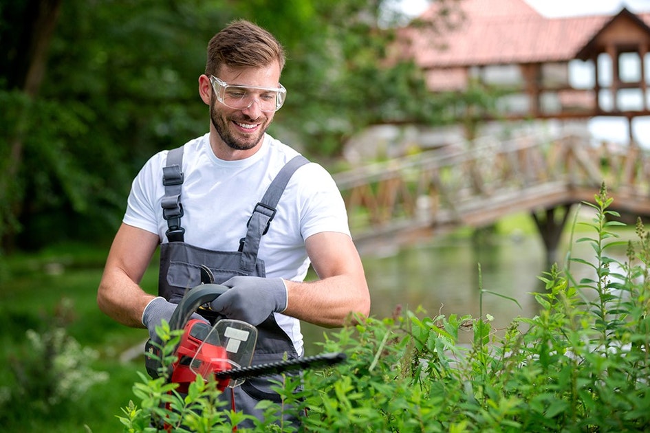 15 Signs That You Require a Professional Gardening Service