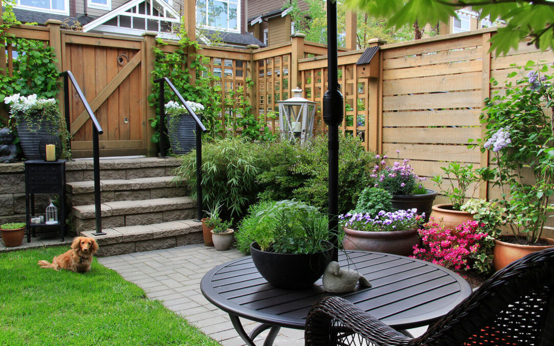 How to Make the Most of a Small Garden