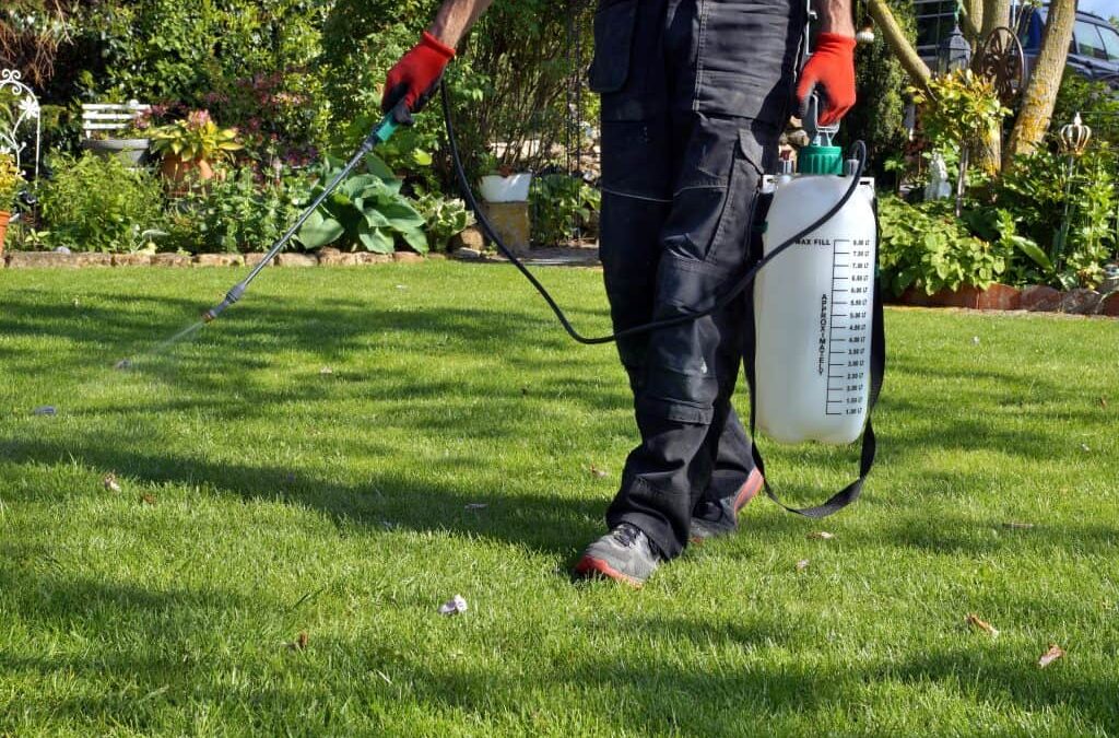 Why is Grounds Maintenance Important?