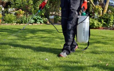 Why is Grounds Maintenance Important?