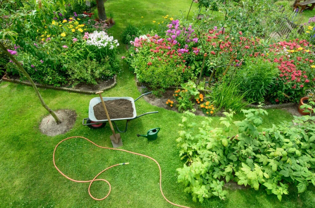Top 5 Ways To Improve Your Garden